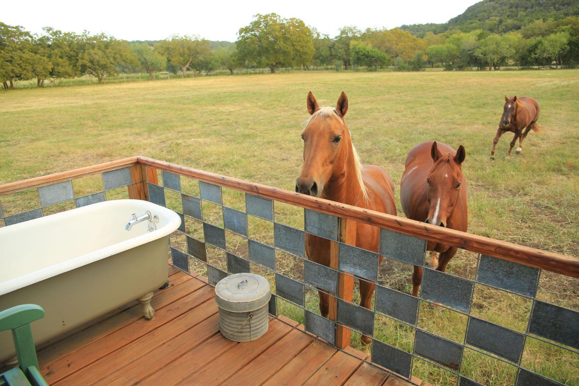 فيلا Montesino Ranch Lodging ويمبيرلي المظهر الخارجي الصورة